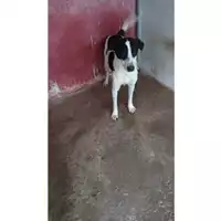 Comune di Mercogliano - 380260043995003