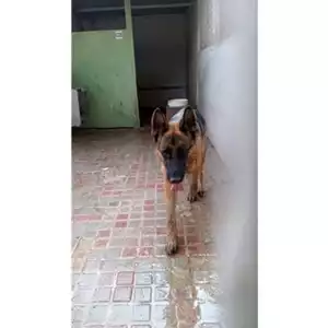 Comune di Avella - 380260044970452